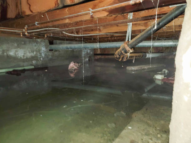 Best Water damage restoration company  in Lake Montezuma, AZ