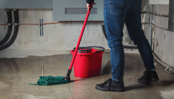 Best Water damage restoration near me  in Lake Montezuma, AZ