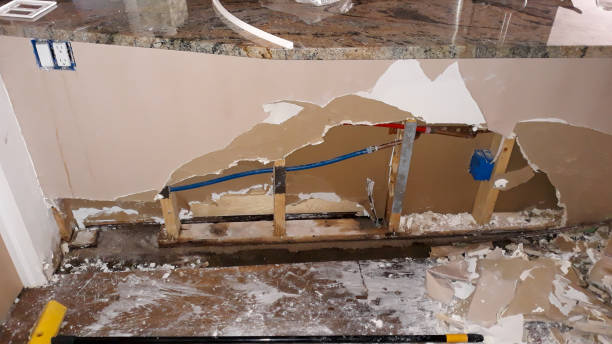 Best Flood damage cleanup  in Lake Montezuma, AZ