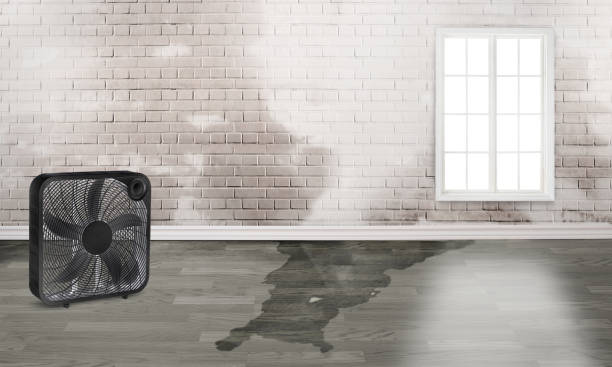  Lake Montezuma, AZ Water damage restoration Pros