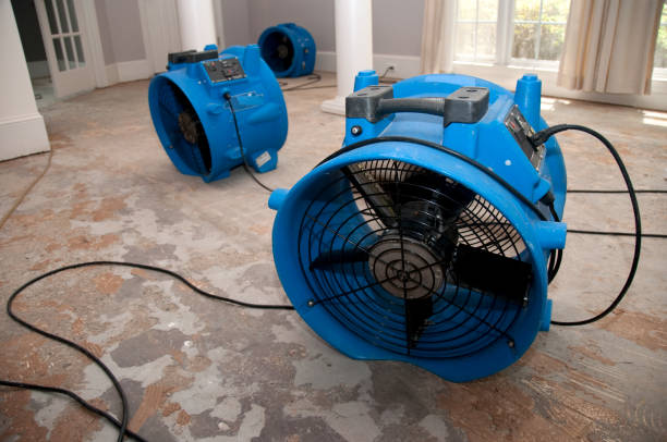 Best 24-hour water damage restoration  in Lake Montezuma, AZ
