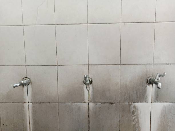 Best Professional water damage repair  in Lake Montezuma, AZ