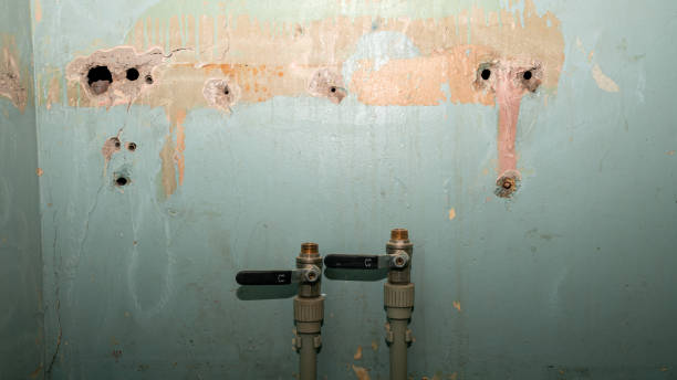 Best 24/7 water damage repair  in Lake Montezuma, AZ
