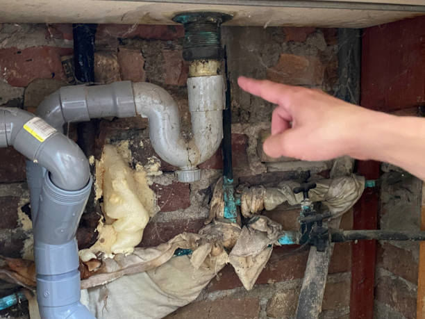 Best Mold removal after water damage  in Lake Montezuma, AZ