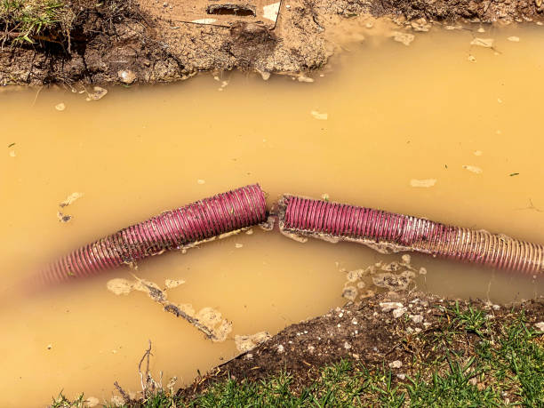 Best Water damage contractors near me  in Lake Montezuma, AZ