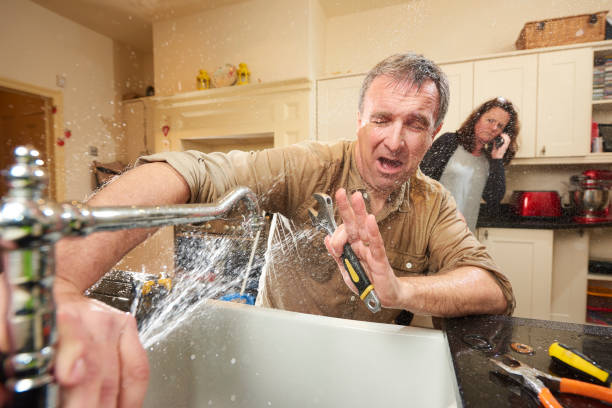 Best Water damage cleanup near me  in Lake Montezuma, AZ